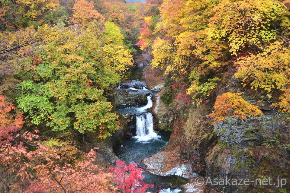 ����48���������F�P�l�\����1