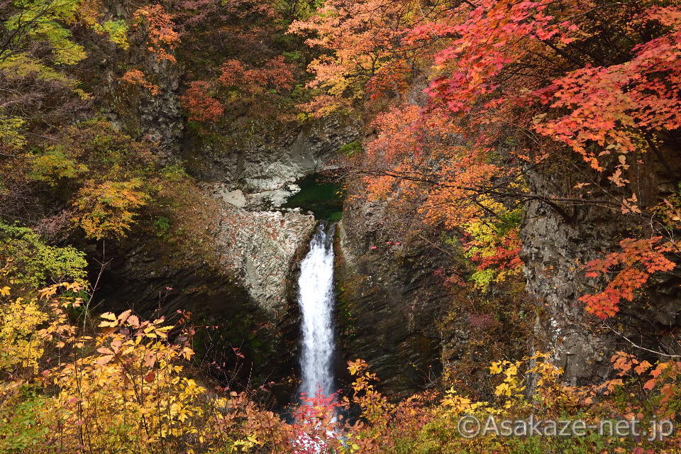 ����48���������F�s����