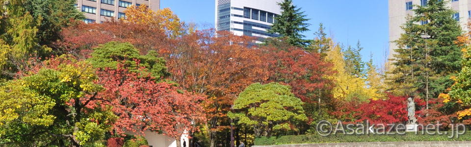 ���s���S��