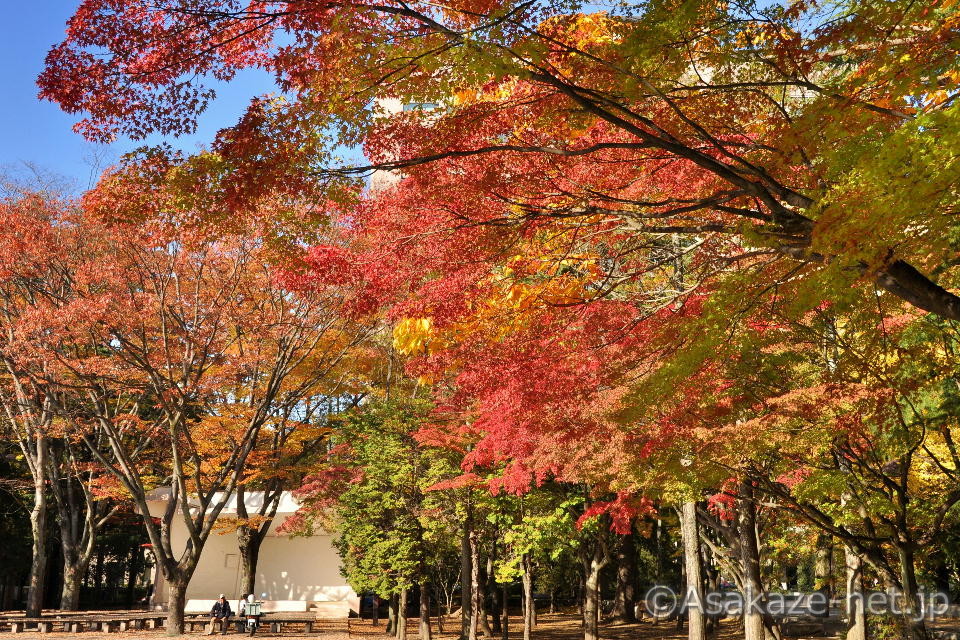 ���s���S���F���������2