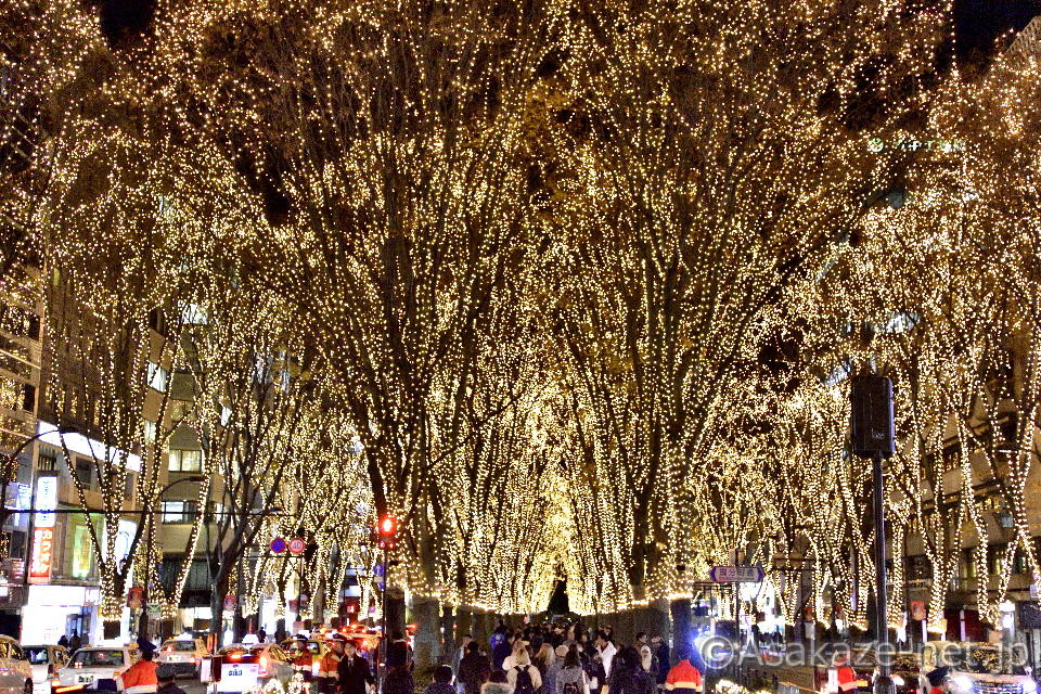 ���s���S���F���̃y�[�W�F���g