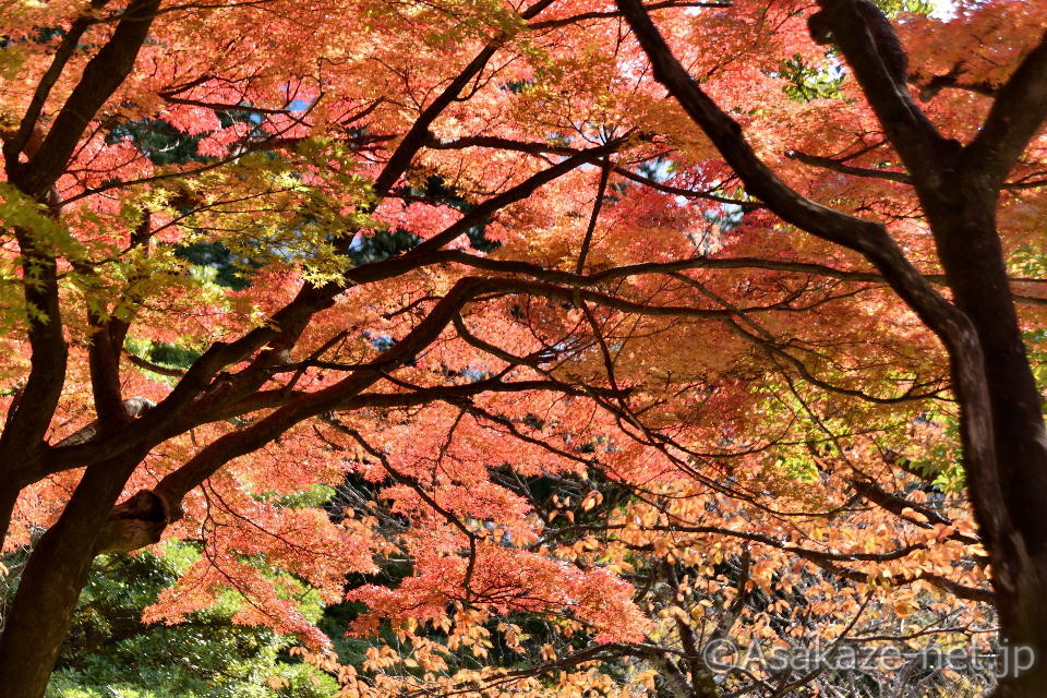 ���s���S���F�F���������3