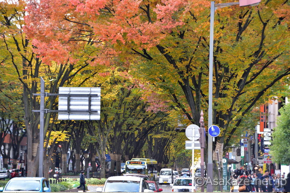 ���s���S���F��T���ʂ�1