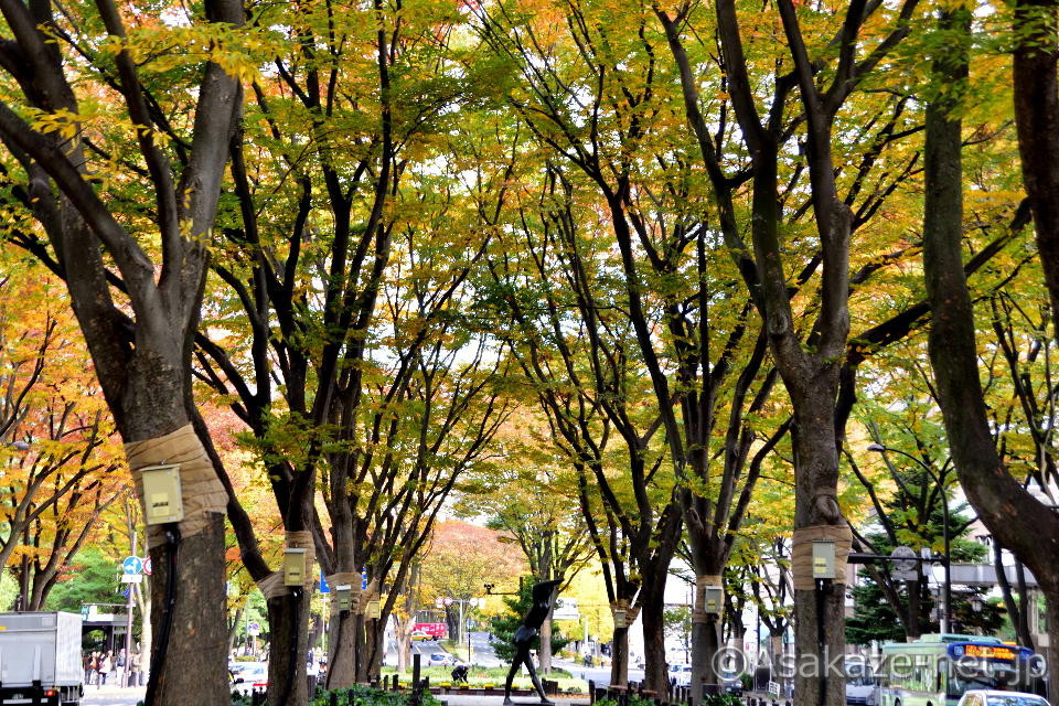 ���s���S���F��T���ʂ�3