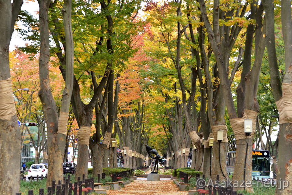 ���s���S���F��T���ʂ�2