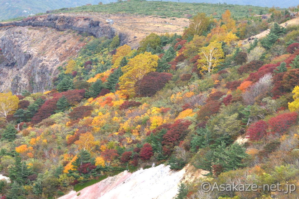 �����A���̑��F�单�V�t��