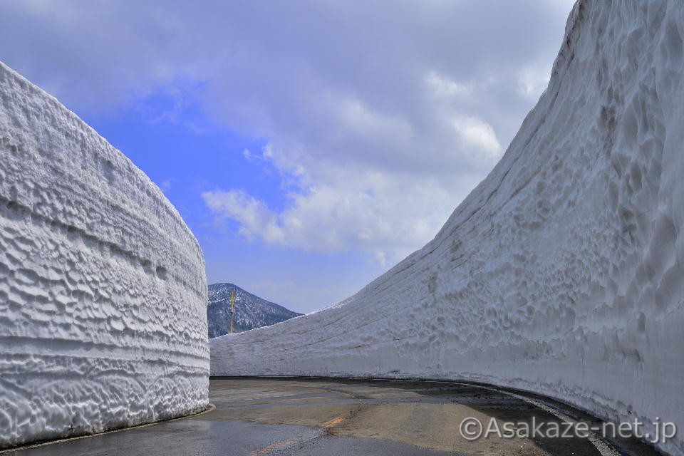 �����A���̑��F��̕�