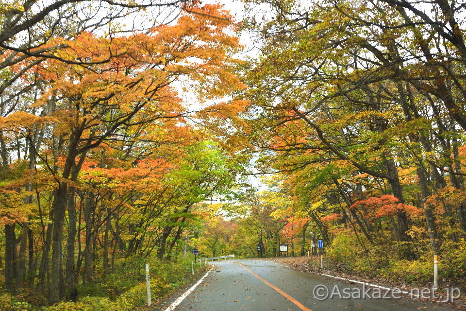 �����A���̑��F�s����t��