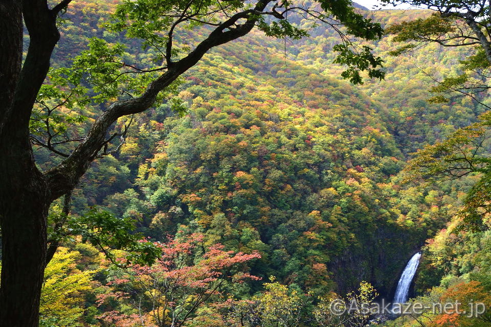 �����A���̑��F�s����