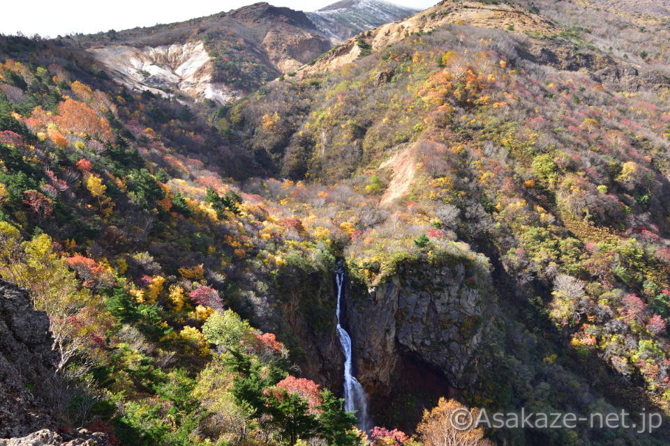 �����A���̑��F�s�A�̑�