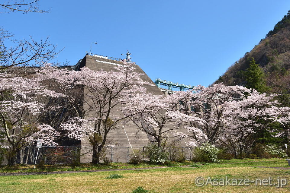 ��q�_�����ӂ̍�1