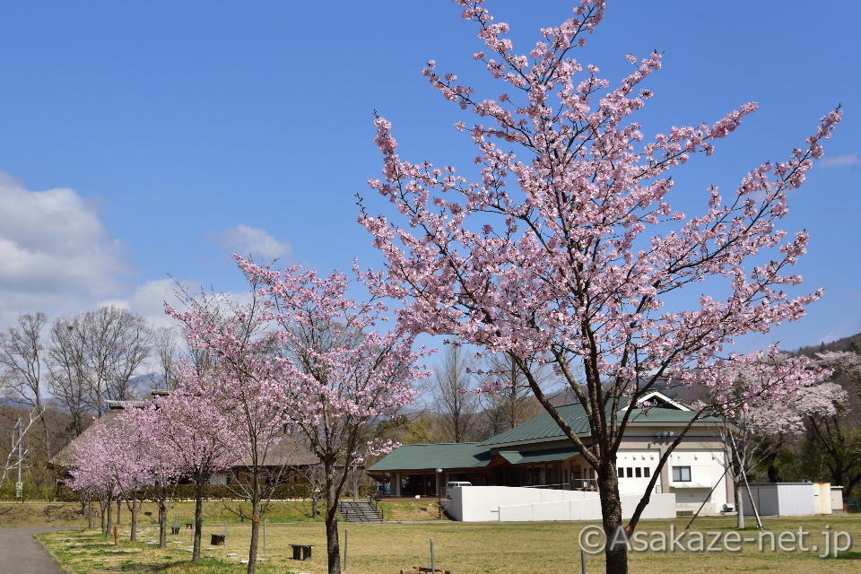 ��q�_�����ӂ̍�9