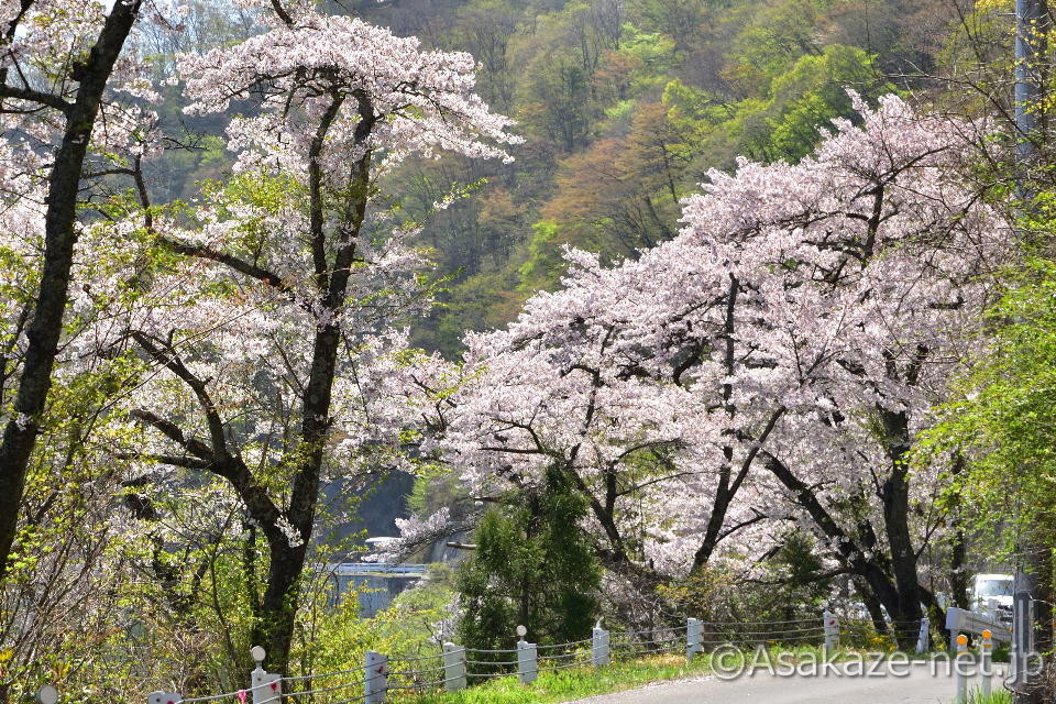 ��q�_�����ӂ̍�6