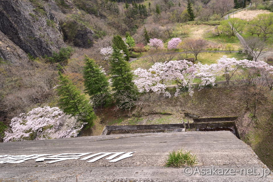 ��q�_�����ӂ̍�4