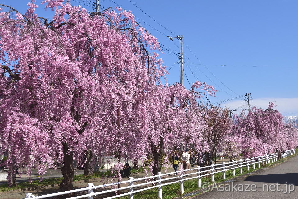 �����������������2