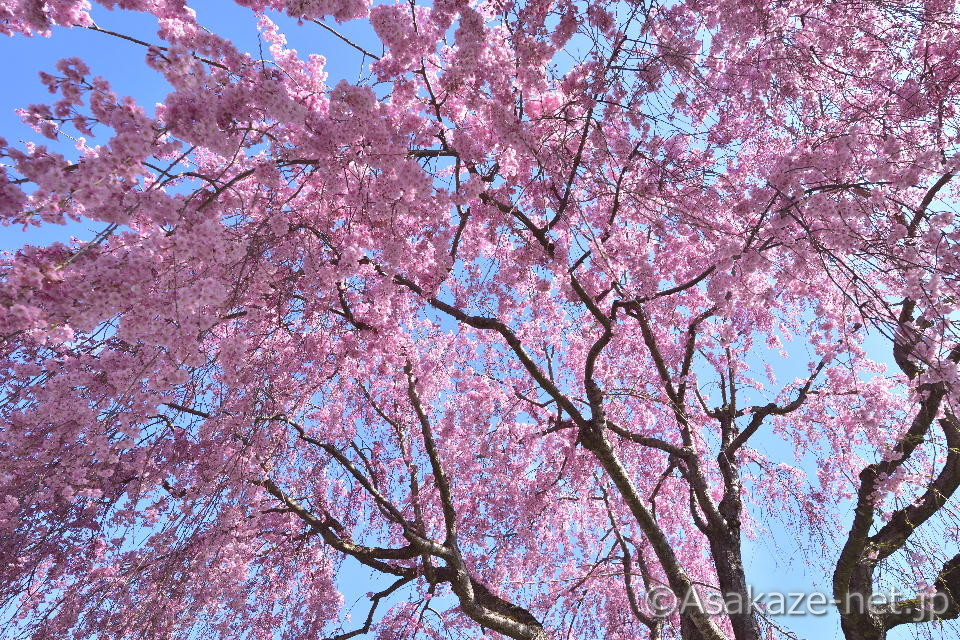 �����������������3