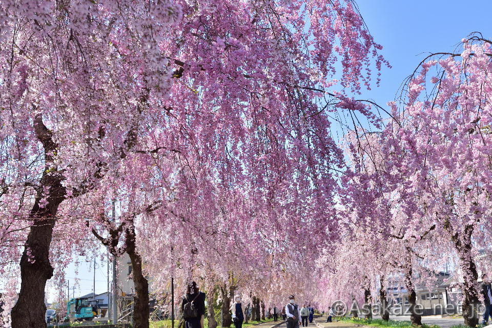 �����������������4