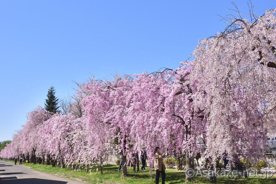 �����������������8