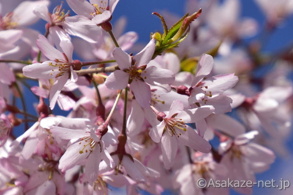 �����������������5