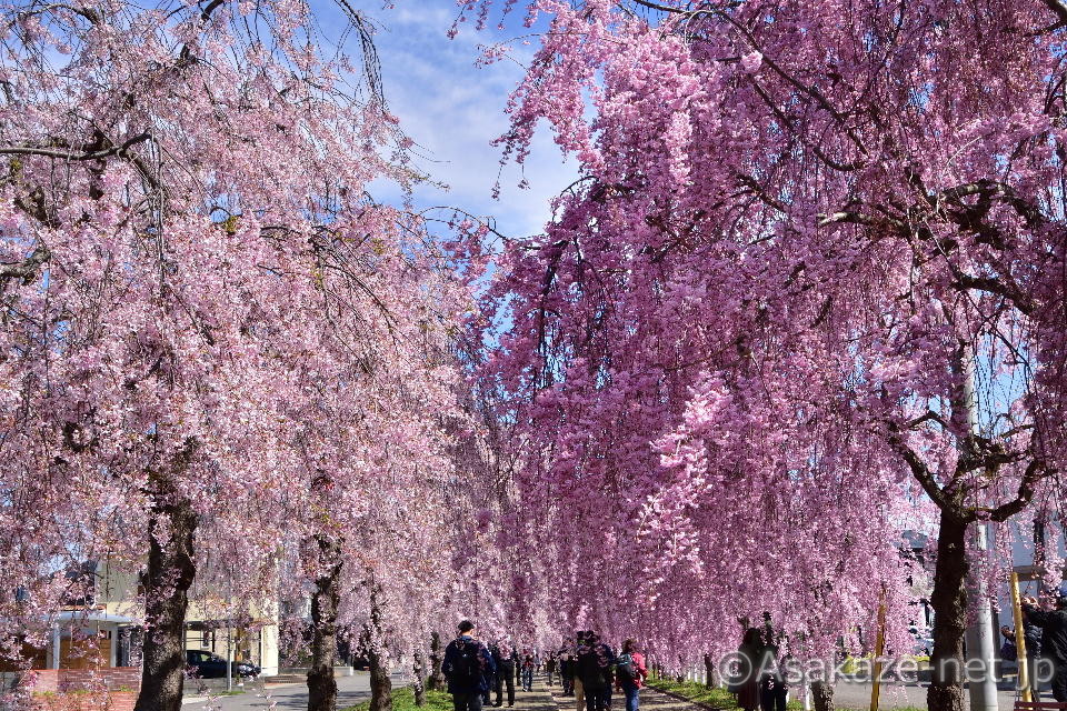 �����������������7