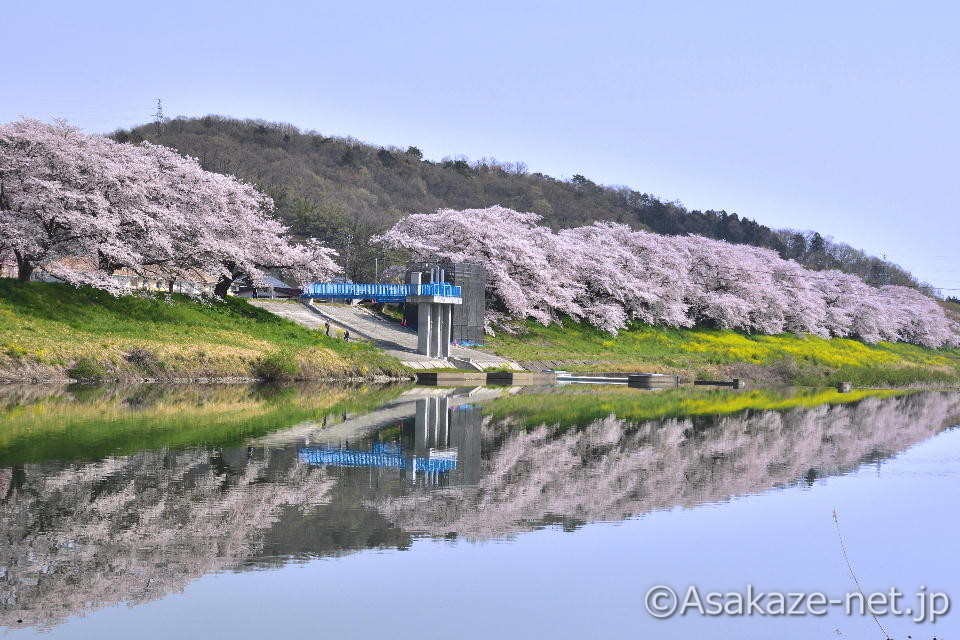 ���ΐ���ڐ�{��1