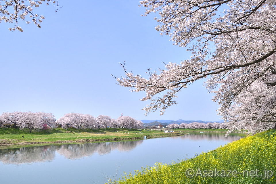 ���ΐ���ڐ�{��1