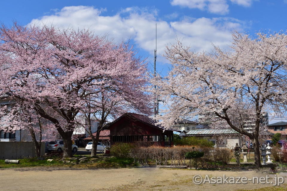 �Ó��_����