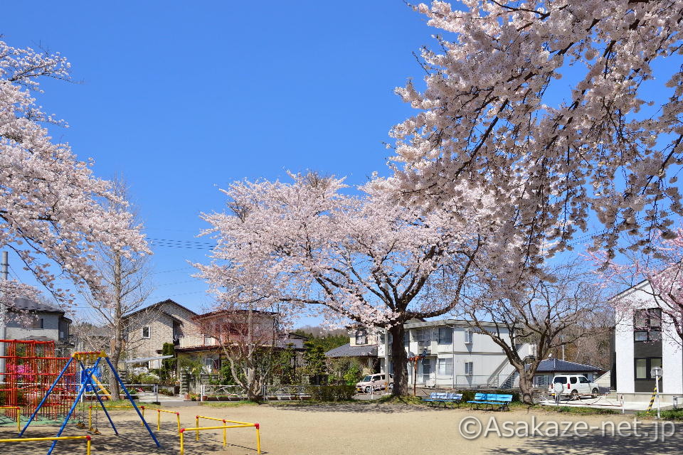 ���q�c�n�P������2