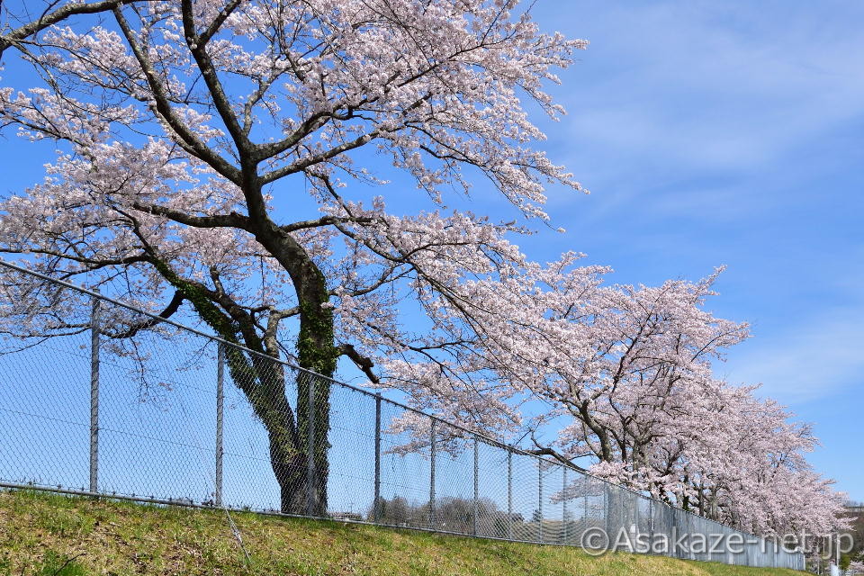 �����򐅏�t��2