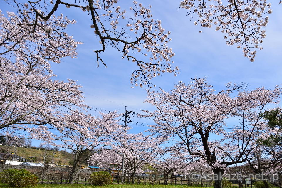 �����򐅏�t��1