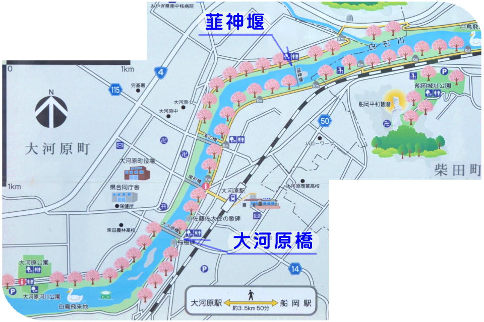 ���ΐ���ڐ�{��1