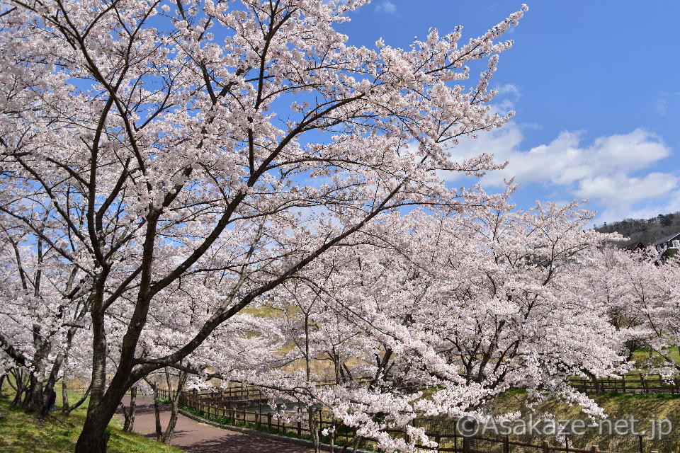 �у��u���������̍�5