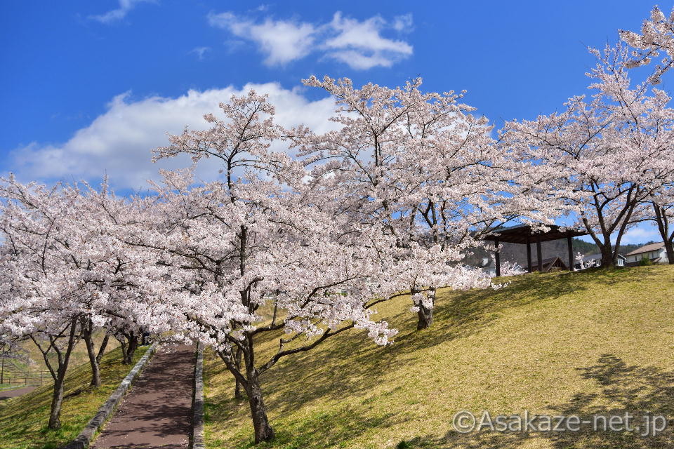 �у��u���������̍�6