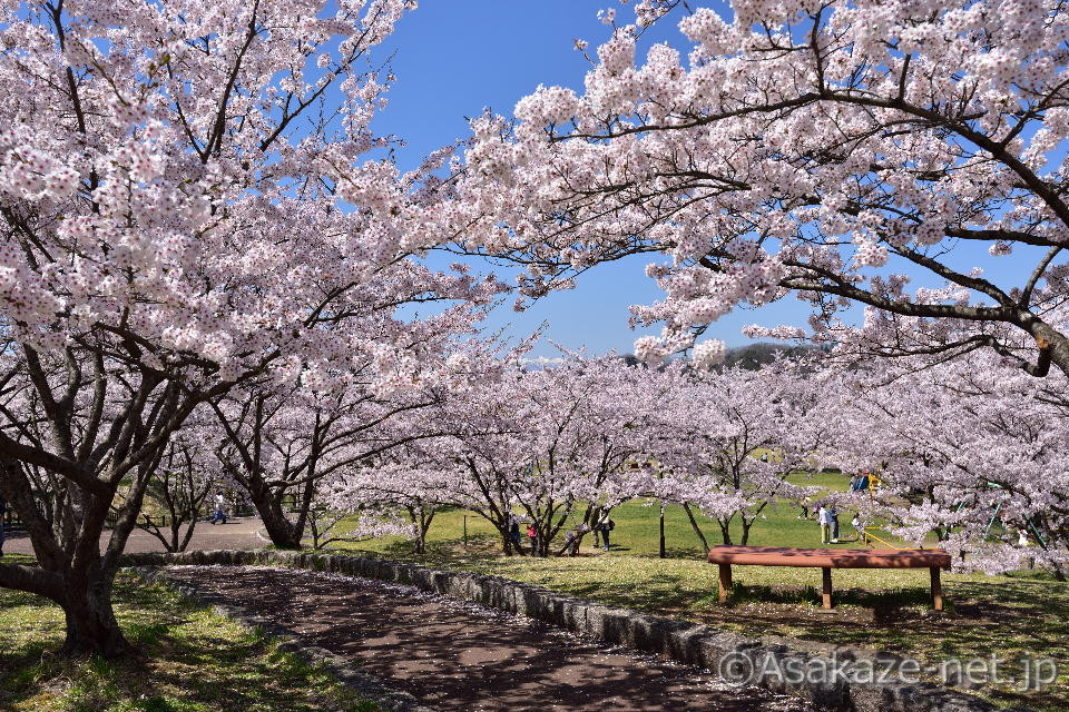 �у��u���������̍�3