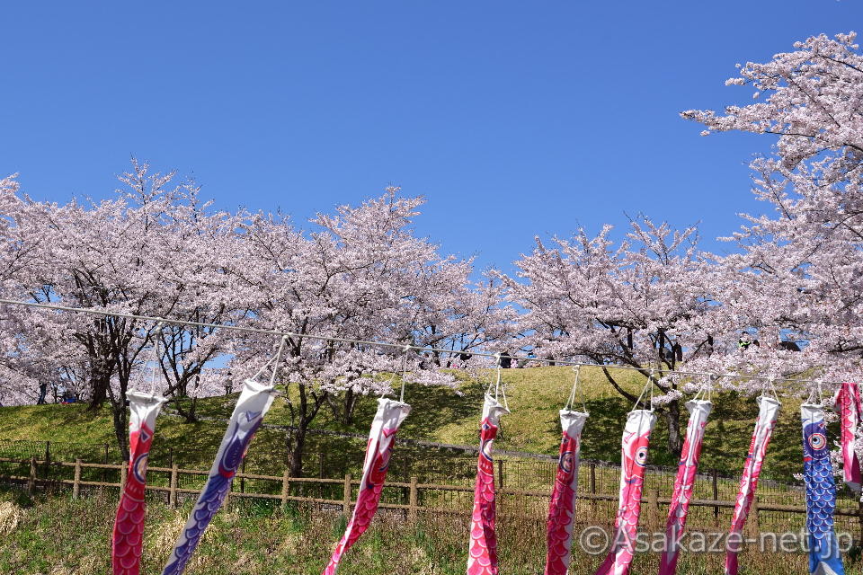 �у��u���������̍�2