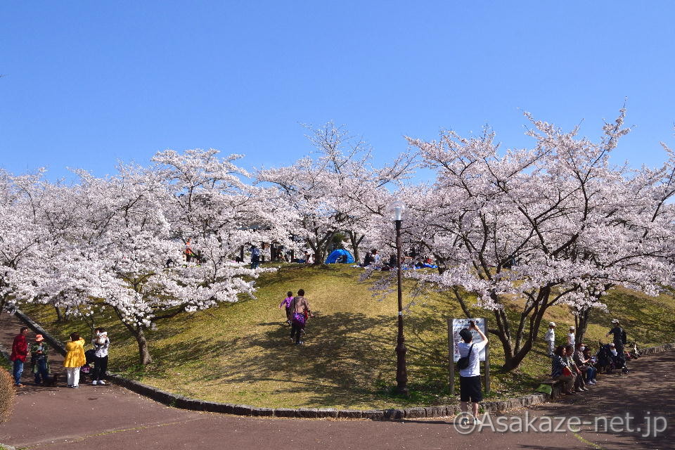 �у��u���������̍�7