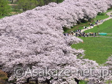 �k��W���n�̍�