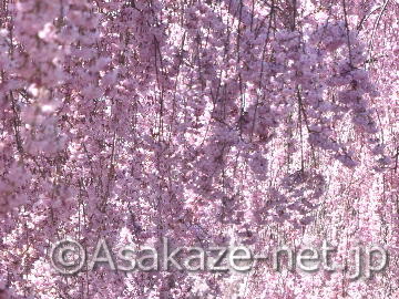 �����������������