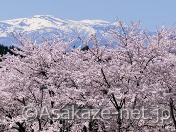 �у��u���������̍�