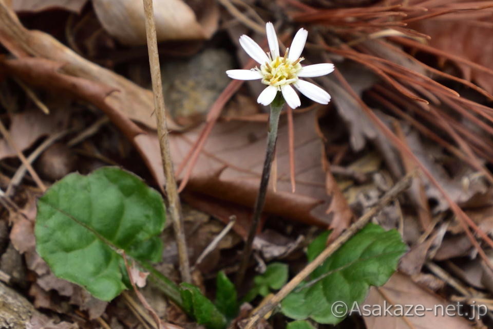 �Z���{�������i�����T�L�^���|�|�j