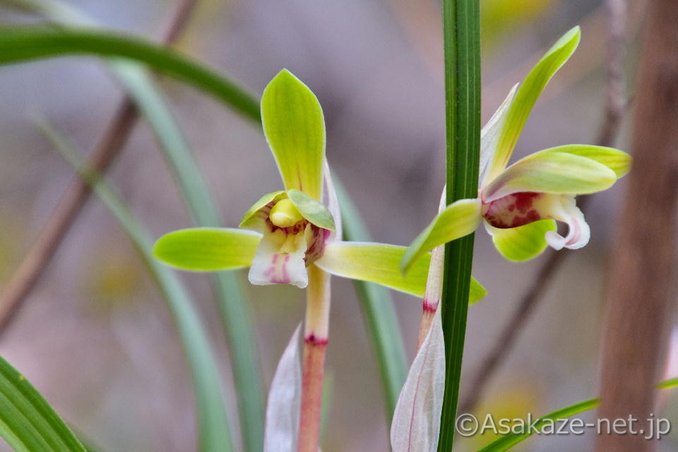 �V��������