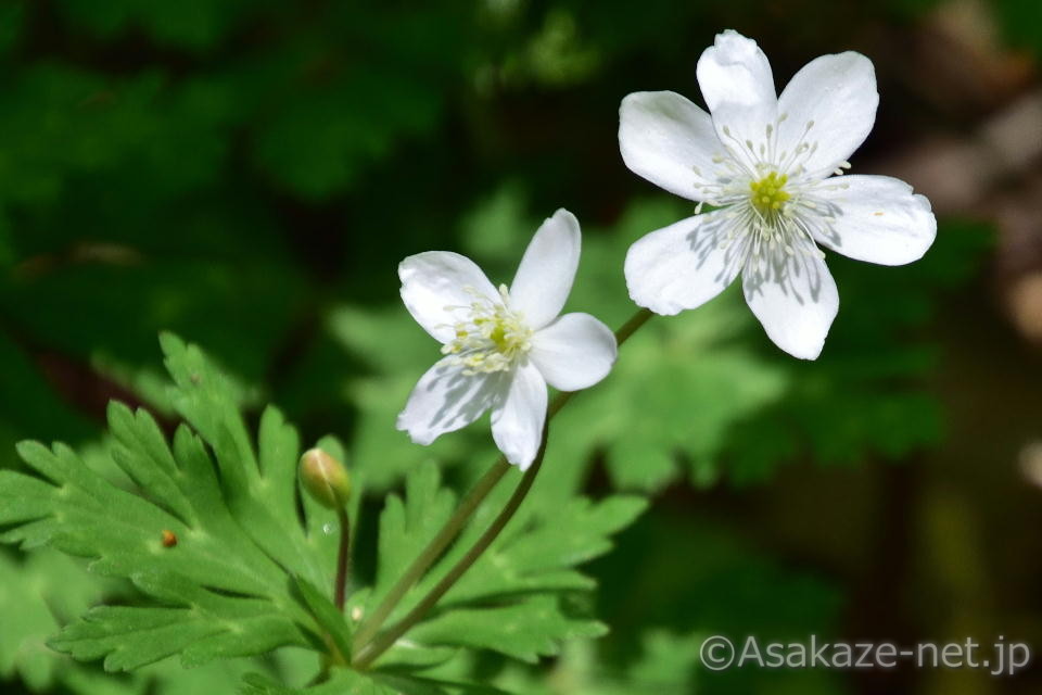 �j�����\�E